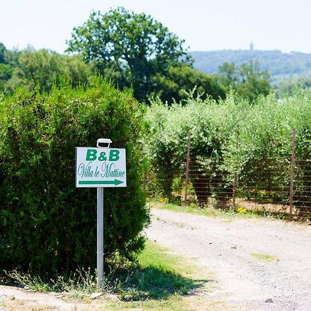 B&B Villa Le Mattine Agropoli Kültér fotó